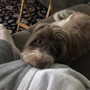 Meet your Posher, Candace